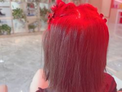 -碧莲盛·不剃发植发