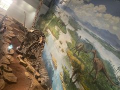 -自贡恐龙博物馆