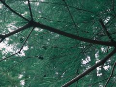 -上海浦江郊野公园-3号停车场