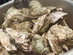 高压锅生蚝-虾恋蛤蟆功