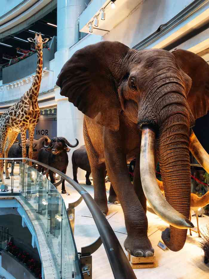 正佳自然科学博物馆(正佳广场店)