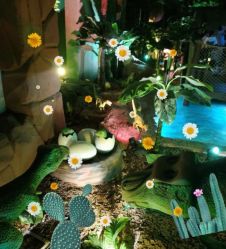 -恐龙探索乐园(磁器口店)