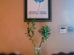 -樱蘭·影院足道·养生SPA(三里屯店)