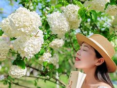 -重庆平顶山公园