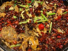 老板恋上鱼-老板恋上鱼(恒隆广场店)