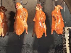 -鸭小七·北京烤鸭·地道北京菜(龙岗万科广场店)