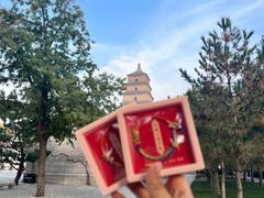 -大慈恩寺(大雁塔)