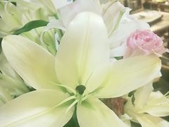 -老渔家白族石板烧旗舰店