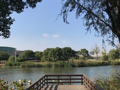 -新江湾城公园