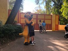 -奥兰多迪士尼动物王国乐园