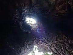 -安溪清水岩