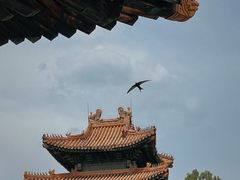 -清东陵