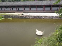 -东坡赤壁风景名胜区