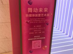 -远洋未来汇