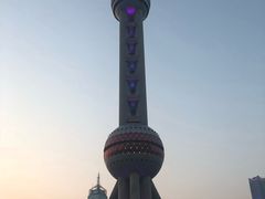 -上海大自然野生昆虫馆(东方明珠·爬宠昆虫探索中心)