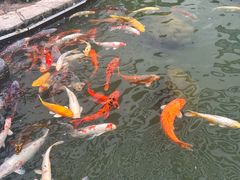-广州花园酒店