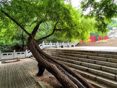 -青岩寺风景区