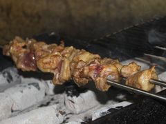 羊肉串-内蒙古海拉尔烤羊腿·烤全羊·烧烤
