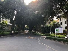-厦门悦华酒店
