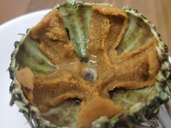 -海胆小馆(东北水饺·春柳店)