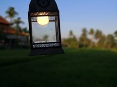 -脏鸭餐厅(乌布总店)