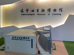-辽宁古生物博物馆