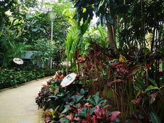-南山植物园