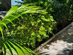 -Beans Solo豆号咖啡(百家湖花园店)