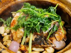 砂锅鱼头煲-点点心港式茶餐厅(南京西路店)