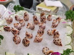 东风螺-新金盛·海鲜酒楼(盐田店)