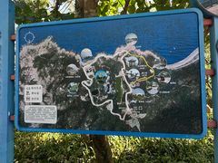 -广东惠东海龟国家级自然保护区