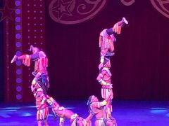 -珠海横琴长隆《卡卡虎奇遇记》