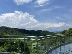 -海南槟榔谷黎苗文化旅游区