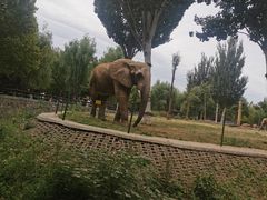 -石家庄市动物园