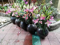 -园林美食城·本土农家菜(杨和镇店)