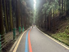 -太阳湾风景区
