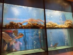 -珍宝海鲜JUMBO Seafood(尚嘉店)