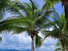 -三亚西岛海洋文化旅游区