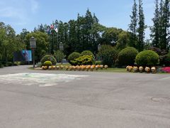 -上海长兴岛郊野公园
