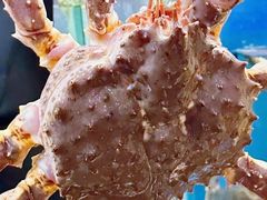 -德米火锅(深圳湾1号旗舰店)