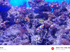 -石家庄海洋公园