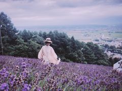 -富田农场