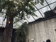 -zarah(鼓楼店)