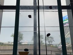 -空气湃·运动嘉年华·团建拓展生日趴·真人CS