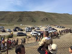 -新疆天山野生动物园