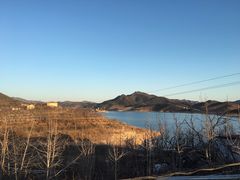-望湖烤鱼