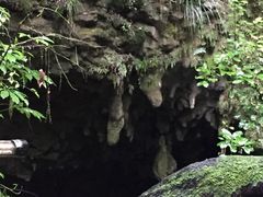 -怀托摩萤火虫洞