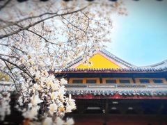 -龙华寺