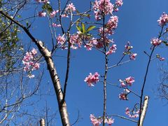 -福建鲤鱼洲酒店