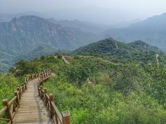 -大岭沟猕猴桃谷风景区